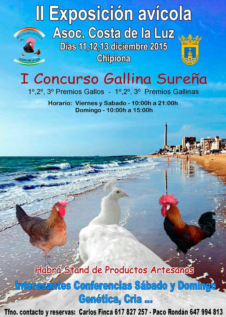 Cartel Exposición Avícola Chipiona 2015