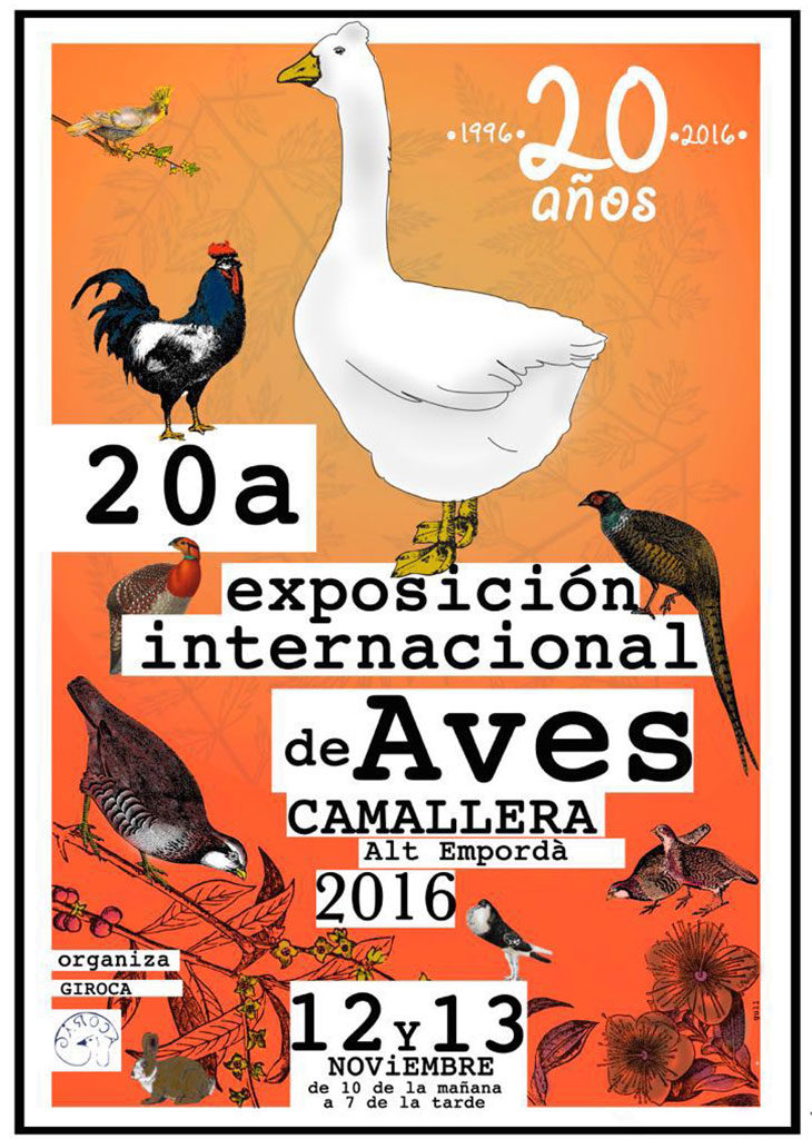 Cartel Camallera 2016