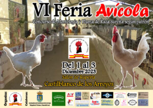 CASTILBLANCO DE LOS ARROYOS 2023 @ Castilblanco de los Arroyos, Sevilla