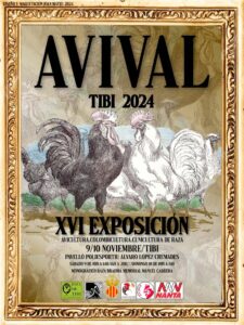 AVIVAL 2024 @ Polideportivo Álvaro López Cremades