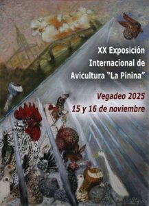 VEGADEO 2025 @ Recinto ferial Vegadeo