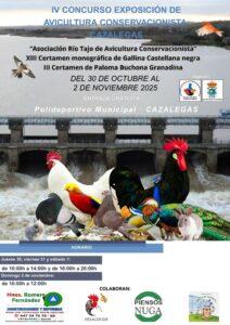 Rio Tajo 2025- Cazalegas @ Polideportivo Municipal Cazalegas