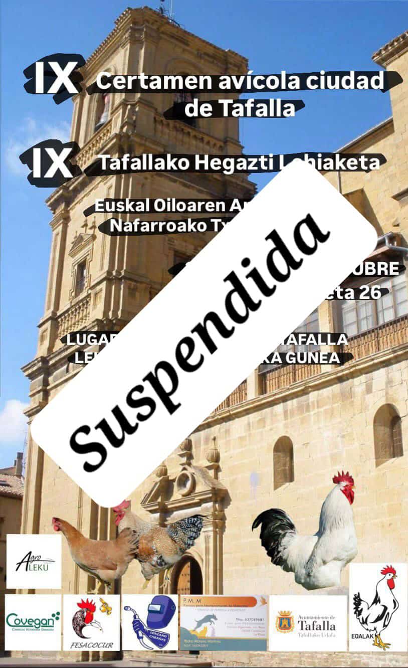 Imagen de WhatsApp 2025-10-22 a las 20.16.42_b0421472