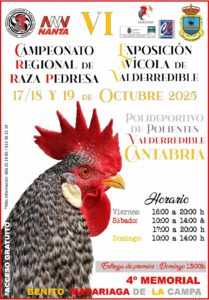 Valderredible 2025 @ polideportivo de Polientes