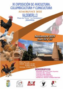 ADAORZOCE 2025 -Valdemorillo @ Valdemorillo