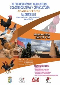 ADAORZOCE 2026
