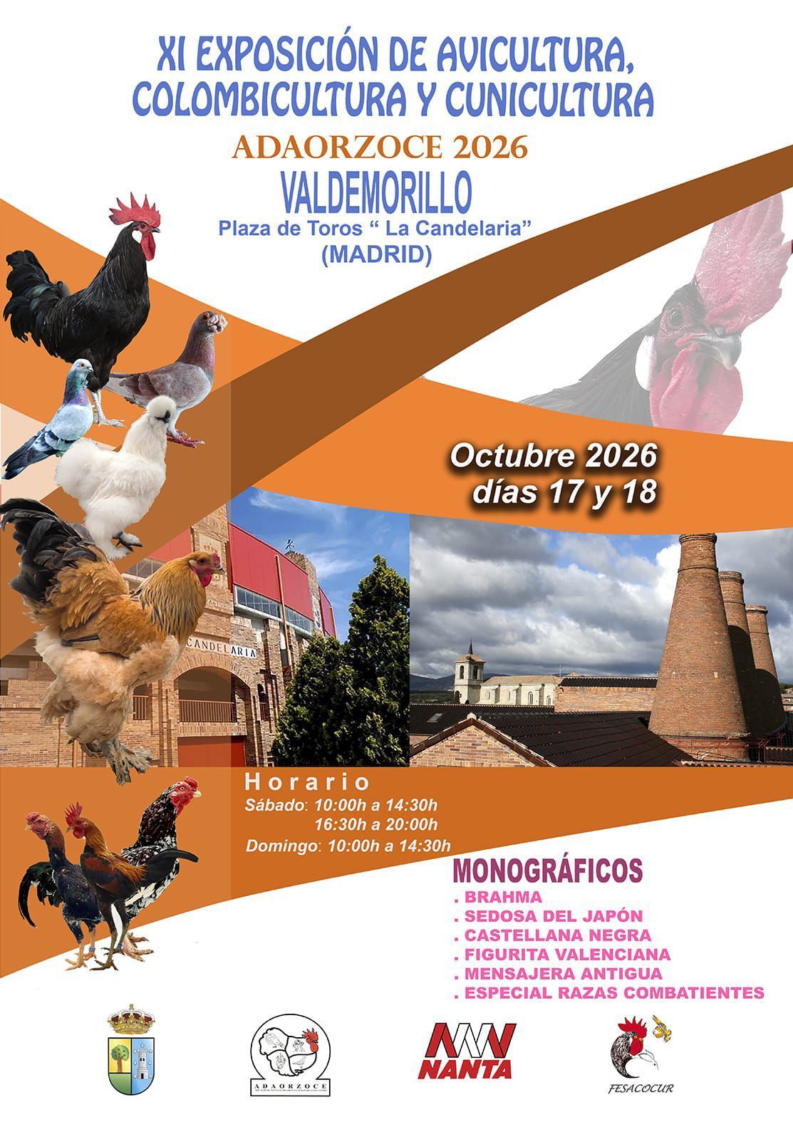ADAORZOCE 2026
