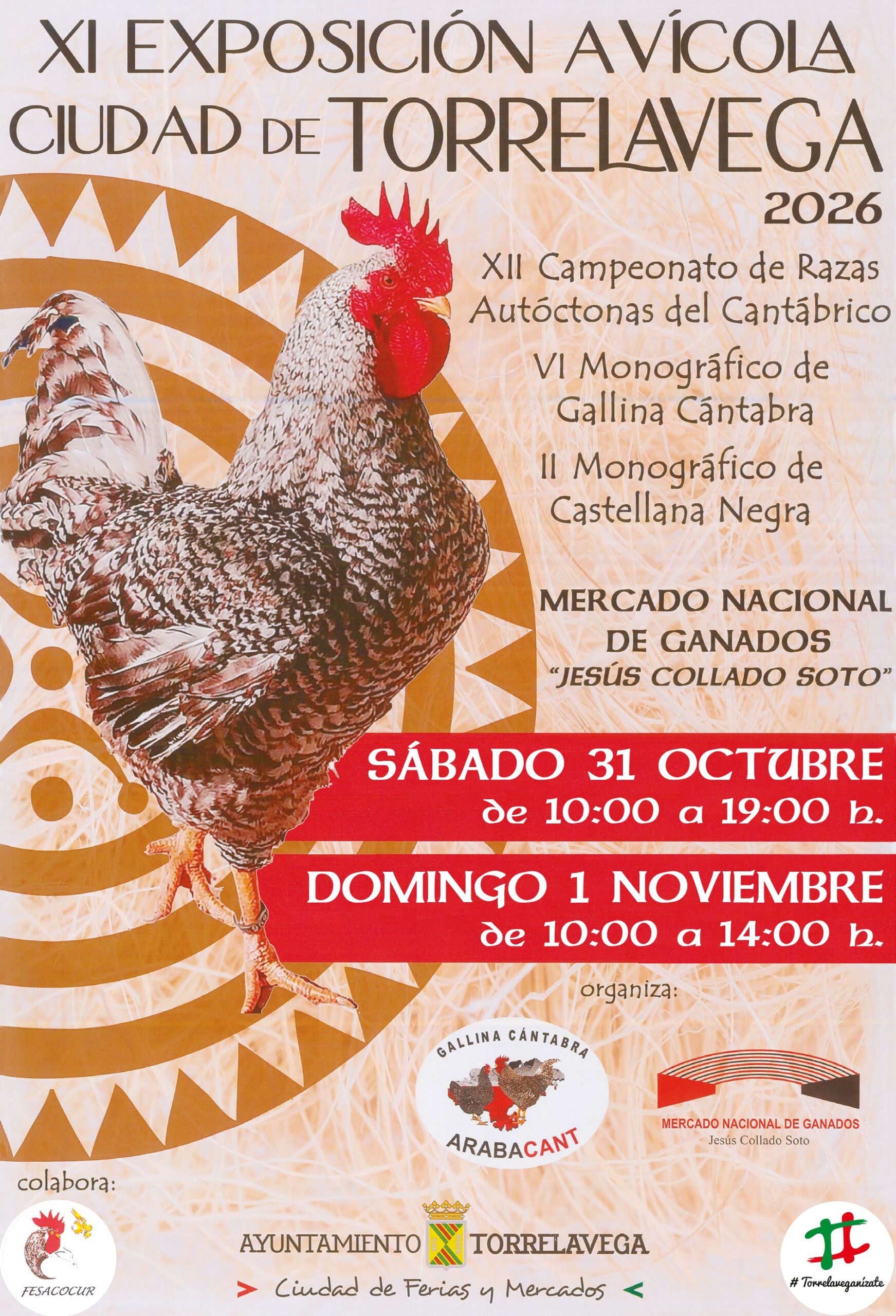 TORRELAVEGA 2026