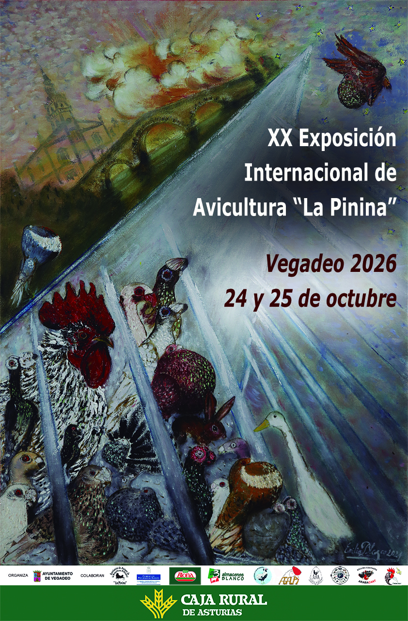 VEGADEO 2026